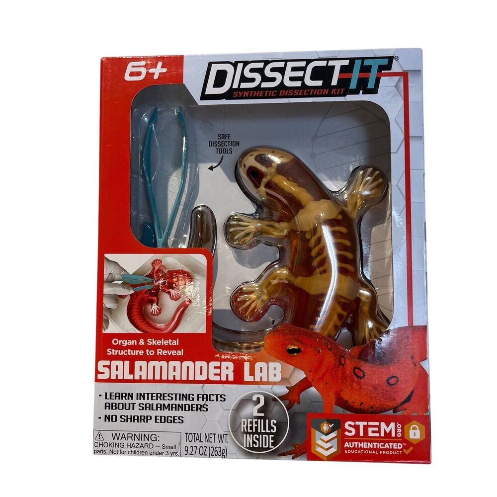 Dissect-It Salamander Lab Synthetic Dissection Kit Interactive Simulation Stemd